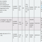 zdjęcie nr 10