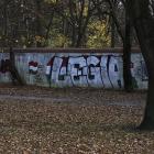 Fotka nr 3 z 4