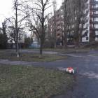 Fotka nr 4 z 9