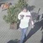 Fotka nr 2 z 6