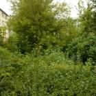 Fotka nr 5 z 11
