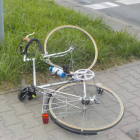Fotka nr 2 z 4