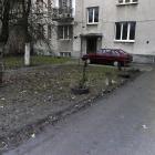 Fotka nr 3 z 7