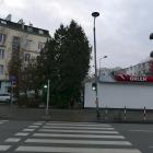 Fotka nr 3 z 5