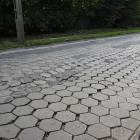 zdjęcie nr 7