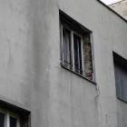 Fotka nr 5 z 7