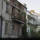 Fotka nr 5 z 11