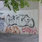 Fotka nr 2 z 4