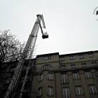 Fotka nr 3 z 8
