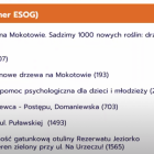 Fotka nr 0 z 4