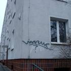 zdjęcie nr 8