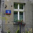 Fotka nr 4 z 8