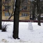 Fotka nr 0 z 16