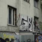 Fotka nr 4 z 7