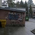 Fotka nr 3 z 5