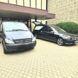 zdjęcie nr 