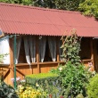 zdjęcie nr 