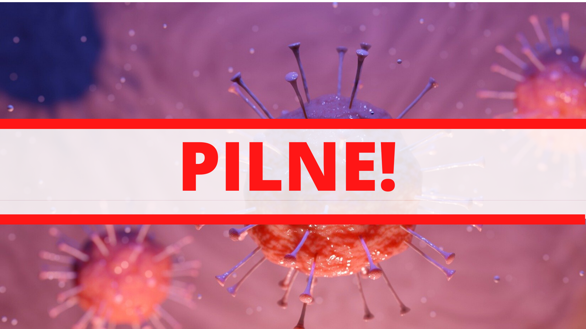 Zdjęcie: Mokotów Warszawa wiadomości Mokotów Dzielnica Warszawy iMokotow