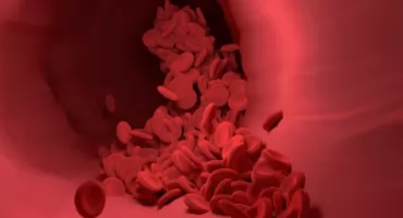 AKCJA HONOOWEGO ODDAWANIA KRWI na Mokotowie