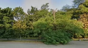 NAJLEPSZE MIEJSCA DO WIOSENNEGO SPACEROWANIA na Mokotowie!