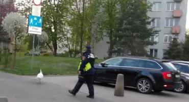 Niezwykle WYJĄTKOWY VIP spacerował na Mokotowie. Taka ESKORTA