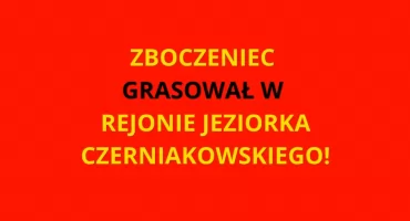 WSTRĘTNY ZB*CZENIEC UJĘTY! Akcja na Mokotowie